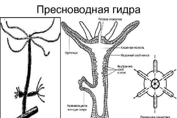 Кракен даркен