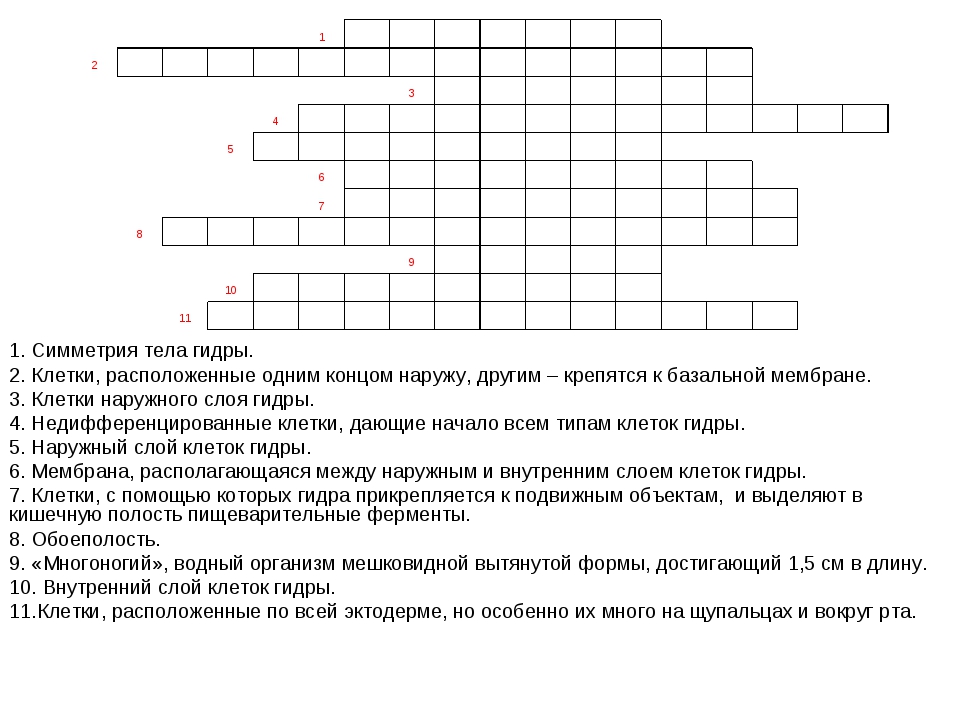 Кракен даркнет зеркало пв